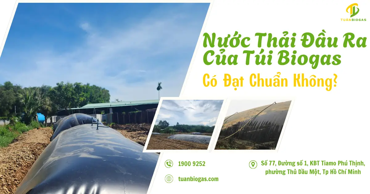 Nước Thải Đầu Ra Của Túi Biogas Có Đạt Chuẩn Không? Thực Tế Trang Trại & Mẹo Khống Chế Mực Nước